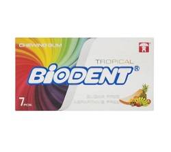 بایودنت آدامس مینی استیک استوایی